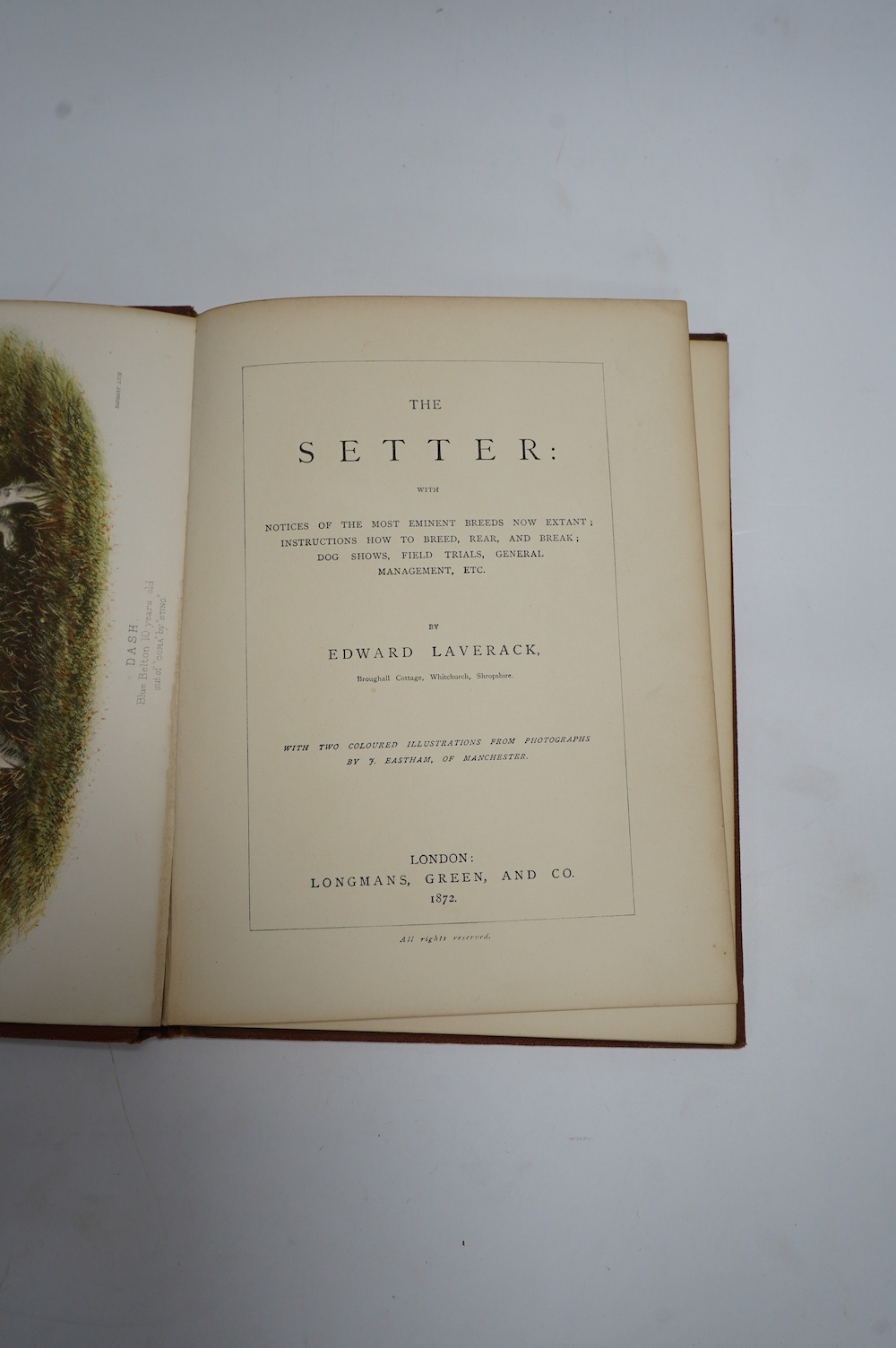 Laverack, Edward - The Setter: with notices of the most eminent breeds now extant ... 1st edition. 2 coloured plates; original blind ruled and gilt decorated cloth with ge. 1872